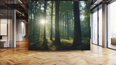 Beautiful forest panorama with bright sun shining through the trees, Pathway through the Pine Forest. Wall mural