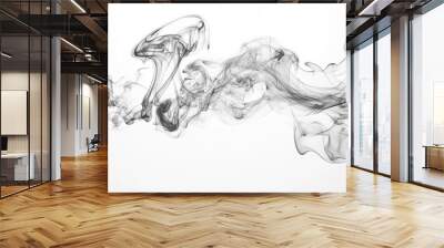 black dark smoke isolated on white, Black smoke in water, black swirls in water isolated on white background Wall mural