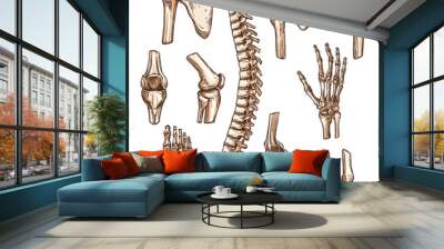 Bone and joint of human skeleton sketch set Wall mural