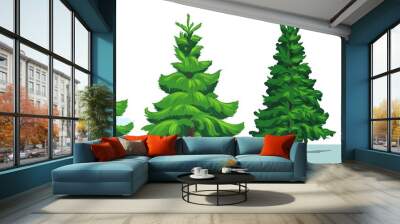 Christmas tree, green fir, pine, spruce with snow Wall mural