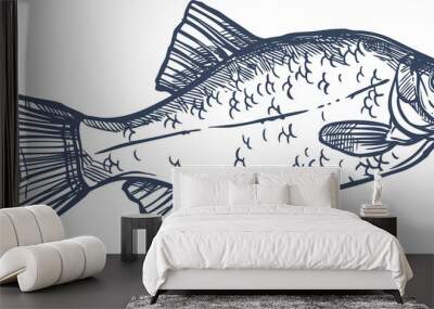 Common crucian carp isolated freshwater river fish Wall mural