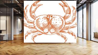 Crab isolated vector animal with pincers sketch Wall mural