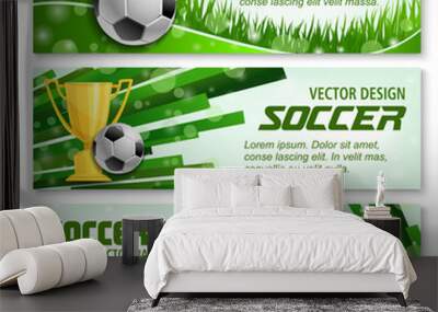 football sport 3d banner of soccer ball and trophy Wall mural