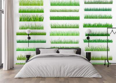 Fresh green spring grass borders Wall mural