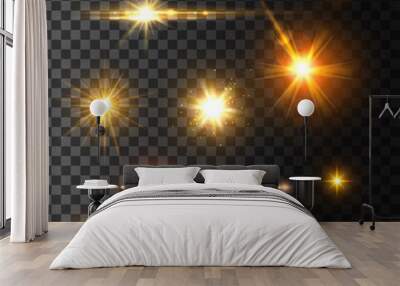 gold light flash or star shine light vector icons Wall mural