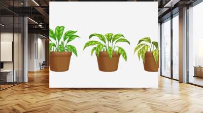 Growth, wither and wilt evolution phase, flower plant in pot. Isolated vector flowerpots with cartoon dying blossom with green or brown dry leaves. Spathiphyllum life process, plant withering timeline Wall mural