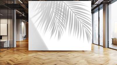 Palm leaves shadow background overlay effect with vector shade of summer tropical tree branches and window light on white wall, floor or ceiling. Sunlight and areca palm foliage overlay shadow Wall mural