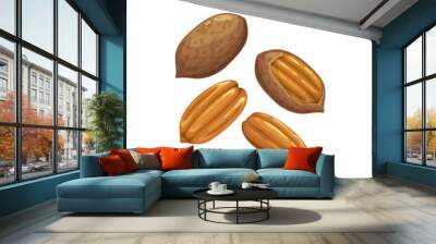 Pecan nut or Carya illinoinensis isolated peeled and unpeeled food snack in hard shell. Vector organic healthy food, edible brown nut, healthy eating, snack high on proteins, cartoon superfood Wall mural