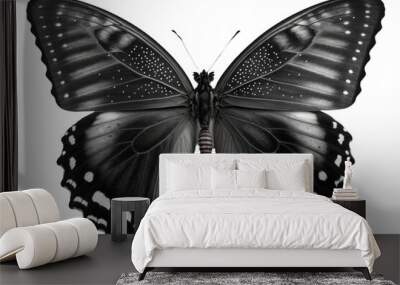 Butterfly cutout Wall mural