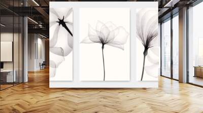 Black and white luxury watercolor art background with transparent x-ray flowers. Ink botanical design for interior design, decor, packaging, invitations, print Wall mural