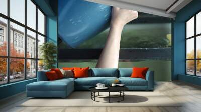 Adding Water In Fish Bowl Wall mural