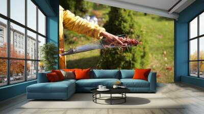 Woman cleaning garden rake Wall mural