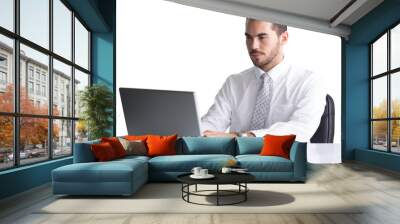 Cheerful businessman using laptop at desk  Wall mural