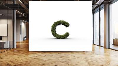 letter c made of leaves Wall mural