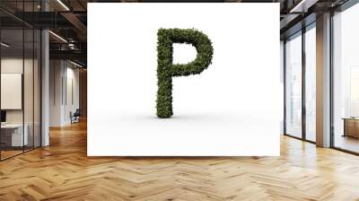 Letter p made of leaves Wall mural