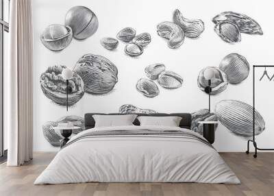 nut set collection Hand drawing sketch engraving illustration style Wall mural