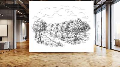 orange - orange tree orange park vector illustration sketch drawing Wall mural