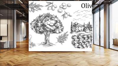 Set olive. Bottle and Jug glass of liquid with cork stopper and branch with leaves. Rural landscape with villa or farm with field, tree and cypress. Vector vintage engraving on white background. Wall mural