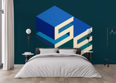 SE isometric 3D letter logo. three-dimensional stock vector alphabet font typography design. Wall mural