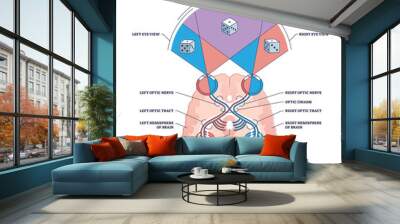 Binocular vision type with anatomical visual cortex pathway outline diagram. Labeled educational medical optometry scheme with optic nerves tract, chiasm, brain and field of view vector illustration. Wall mural