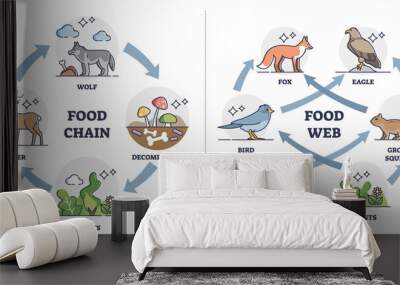 Food chain vs Food web as ecosystem feeding classification outline diagram. Labeled educational comparison with animal, plants or decomposer examples in wildlife feeding cycle vector illustration. Wall mural