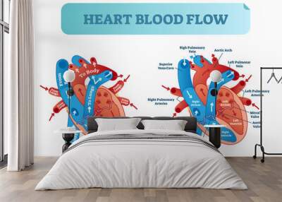 Heart blood flow circulation anatomical diagram with atrium and ventricle system. Vector illustration labeled medical poster. Wall mural