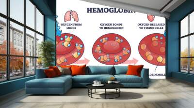 Hemoglobin as oxygen gas transportation mechanism in body outline diagram. Labeled educational scheme with red blood cell, O2 molecule and medical hemoglobin gas release process vector illustration. Wall mural