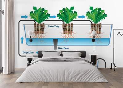 Hydroponics vector illustration. Labeled drip system explanation scheme. Wall mural