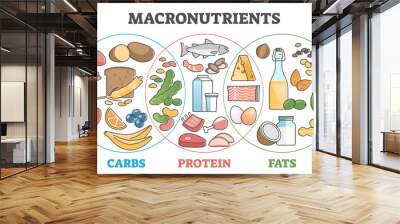 Macronutrients educational diet with carbs, protein and fats outline concept Wall mural