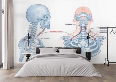 Omohyoid muscle location with inferior belly and hyoid bone outline diagram. Labeled educational medical scheme with human upper body skeletal description and neck muscular system vector illustration. Wall mural