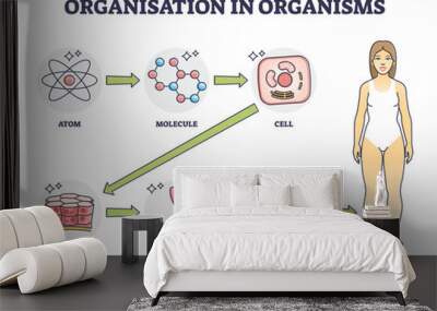 Organisation in organisms with hierarchical level structure outline diagram. Labeled educational scheme with atom, molecule, cell and tissue microscopic example and organ systems vector illustration. Wall mural