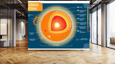 Sun cross section scientific vector illustration diagram with sun inner layers, sunspots, solar flare and prominence.  Wall mural