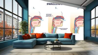 Swallowing process explanation with anatomical principle stages outline diagram. Labeled educational oral mechanism for eating and respiratory vector illustration. Medical epiglottis, bolus and UES. Wall mural