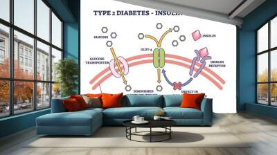 Type 2 diabetes and insulin resistance anatomical explanation outline diagram, transparent background. Labeled medical science representation with insulin receptor. Wall mural