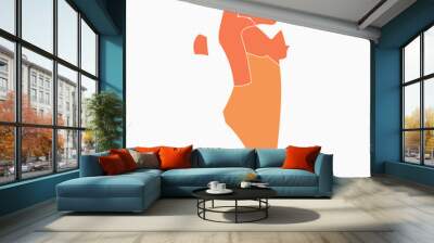 Colorful Bahrain Divided Map Illustration Wall mural