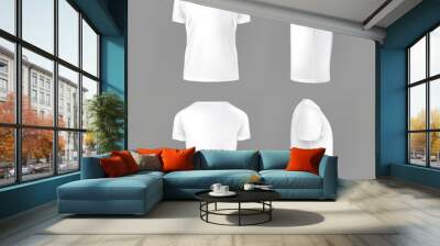  set template of male T-shirts Wall mural