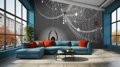 Dangerous, poisonous big and small spiders hanging on thin web string, climbing on lace with hunted and wrapped preys or egg cocoons 3d realistic vector illustration isolated on transparent background Wall mural