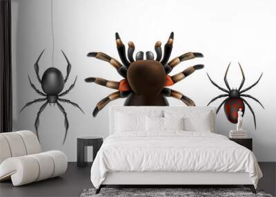 Dangerous for humans, deadly poisonous spiders species realistic vector set isolated on white background. Big hairy tarantula and widow spiders with black and red abdomen hanging on web illustration Wall mural