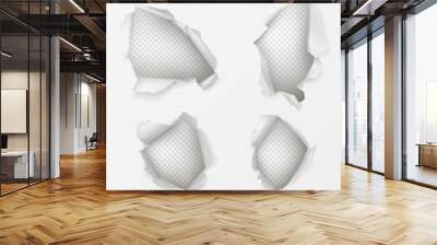 Set of various form holes with ripped edges in paper sheet 3d realistic vector illustration on transparent background. Torn or damaged white surface. Breach and gap elements collection for web design Wall mural