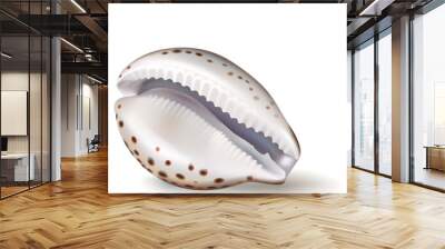 Vector illustration, badges, stickers, seashell cowrie in realistic style isolated on white. Print, template, design element Wall mural