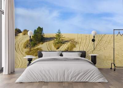 dunes sand valley Wall mural