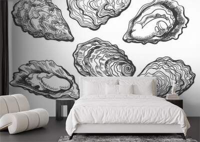 Oysters. Oyster shell vector set, hand drawn fresh oysters isolated on white background for cooked delicacies or delicacy food decor Wall mural