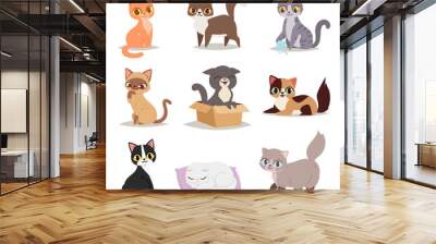 Cute cats character different pose vector Wall mural