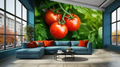 green above tomato red Wall mural