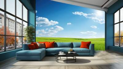 sun blue sky and grass Wall mural