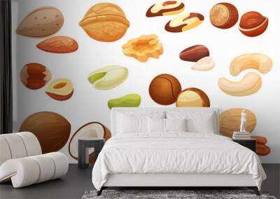 Nuts isolated on white background, set of different hazelnut, almond, peanut and pecan, vector illustration. Natural organic ingredient for vegetarian food and snack. Cashew, macadamia and brazil nut Wall mural