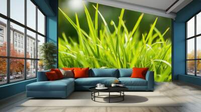 green grass close-up Wall mural