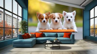 Three adorable puppies sit together with a bright frisbee, showcasing their playful spirit in a sunny outdoor setting. Wall mural