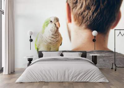 Parrot is sitting on mans shoulders and looking directly at camera. Domesticated birds concept. Copy space area. Natural light photo. Wall mural