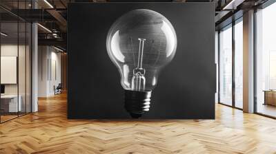 A classic light bulb in black and white photography Wall mural